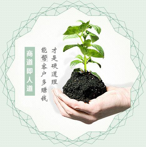 蔬菜種子經(jīng)營，商道即人道