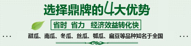 購買蔬菜種子，選擇鼎牌的四大優(yōu)勢(shì)