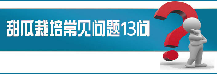 蔬菜種子栽培技術(shù)-<strong><font color='#006428'>甜瓜栽培常見問題13問？</font></strong>