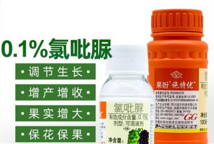 蔬菜種子栽培技術(shù)-<b>正確使用“氯吡脲”，瓜類增產(chǎn)30～50%</b>